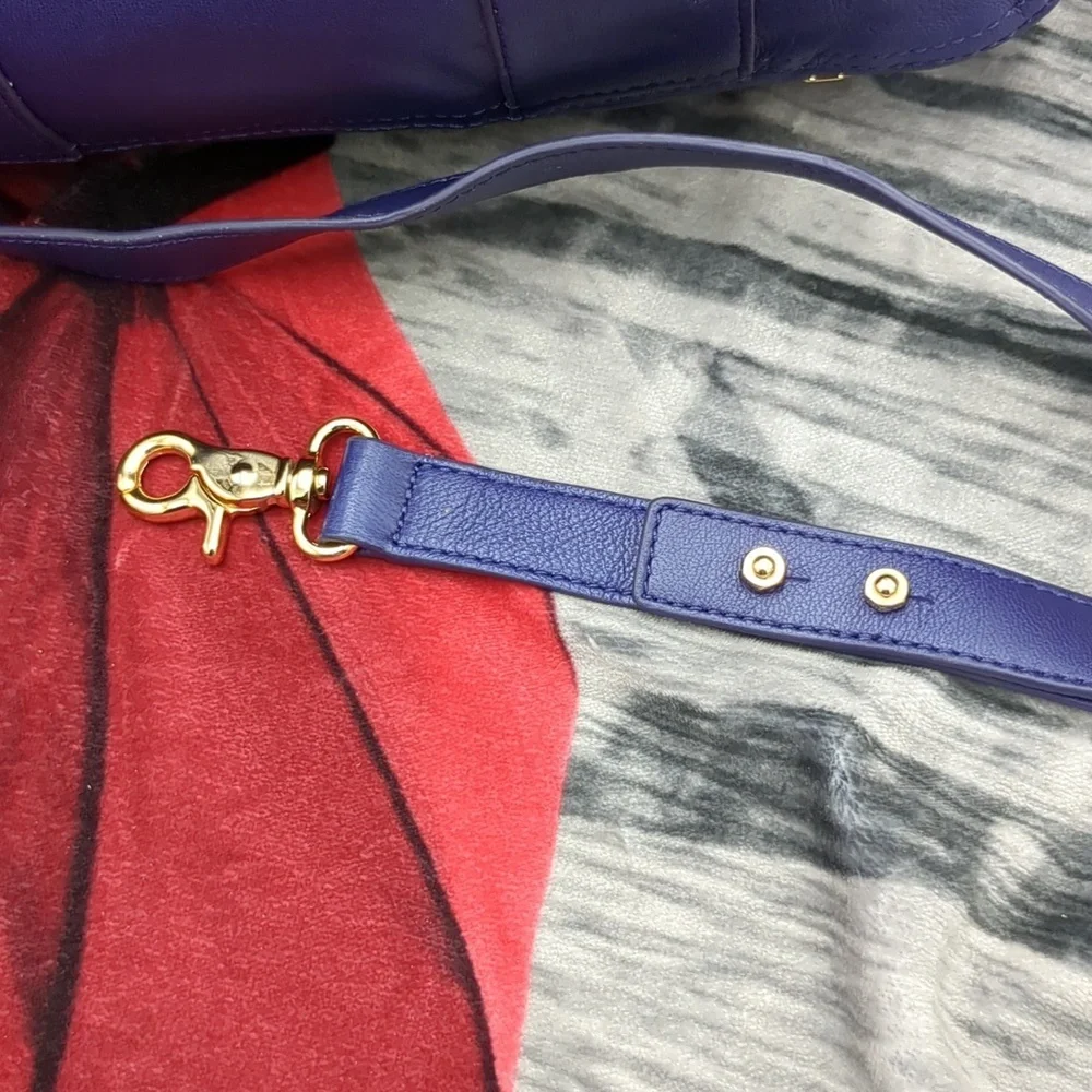 Z Spoke aka Zac Posen get happy bag